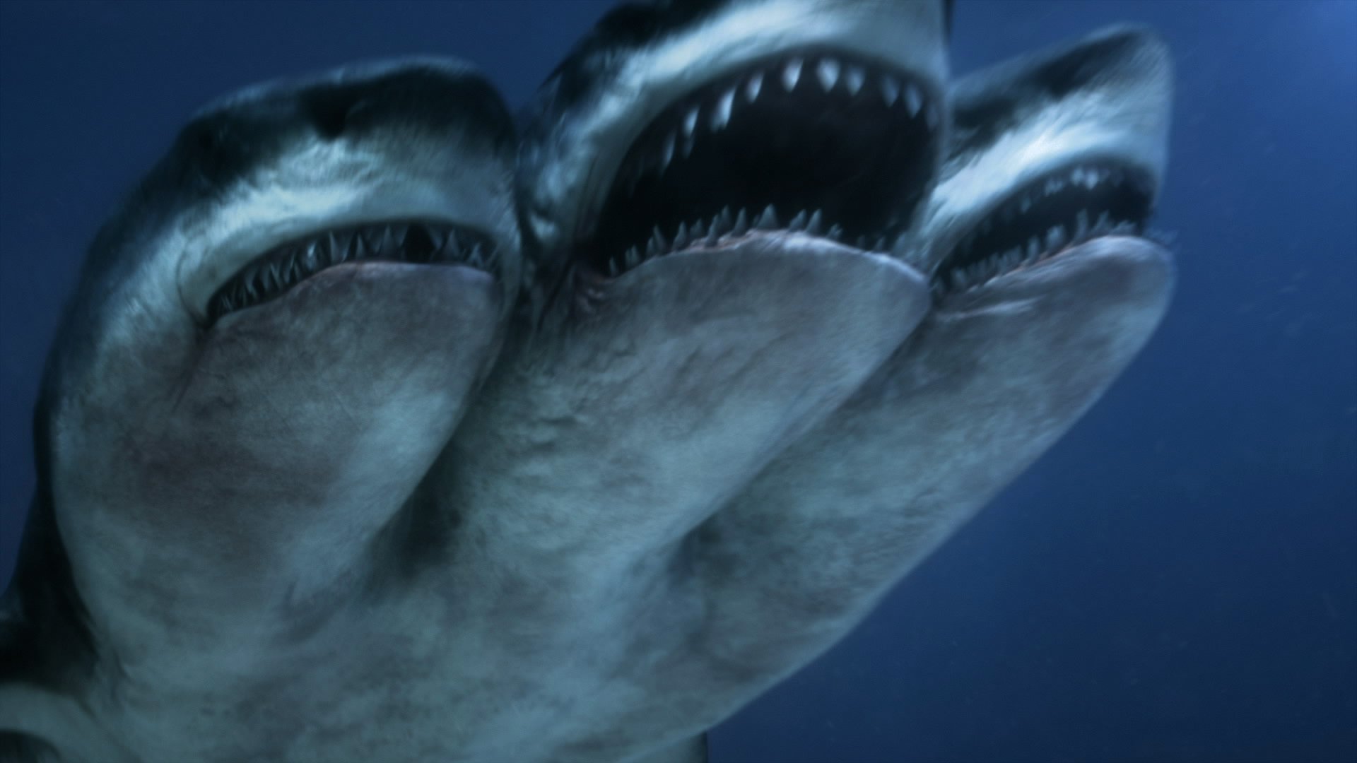 Tthree-headed shark in 3 Headed Shark Attack (2015)