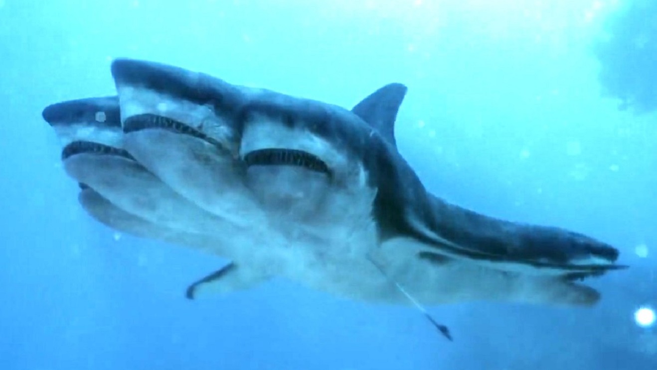 5 Headed Shark Attack (2017) - Moria