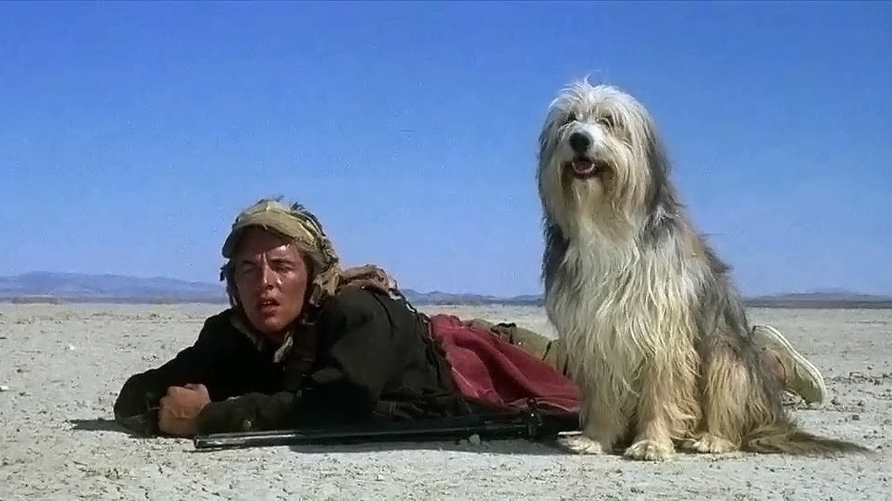 Vic (Don Johnson) and Blood in A Boy and His Dog (1975)