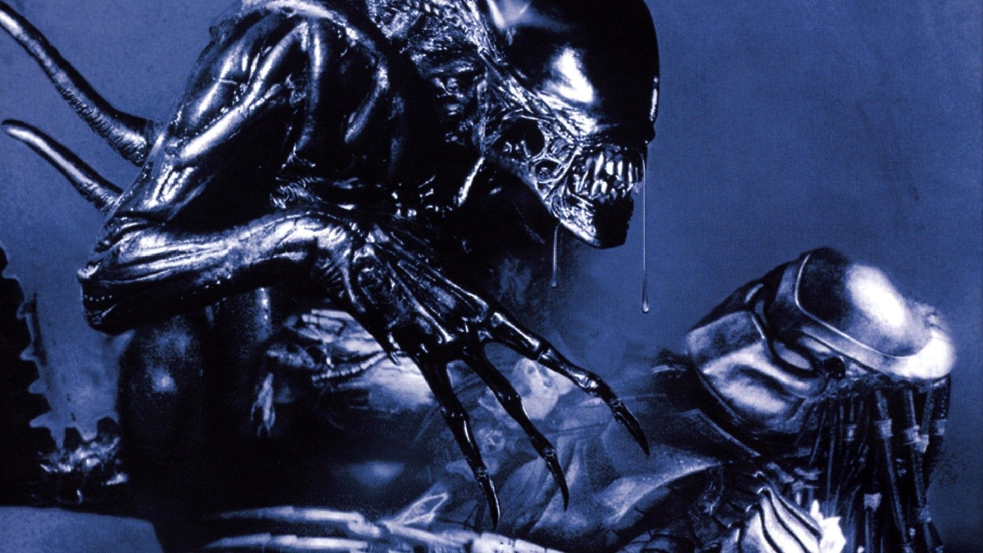 Alien vs Predator in AVP Alien vs Predator (2004)