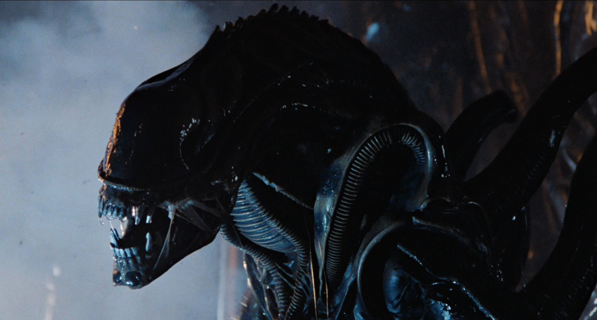 The alien in Alien (1979)