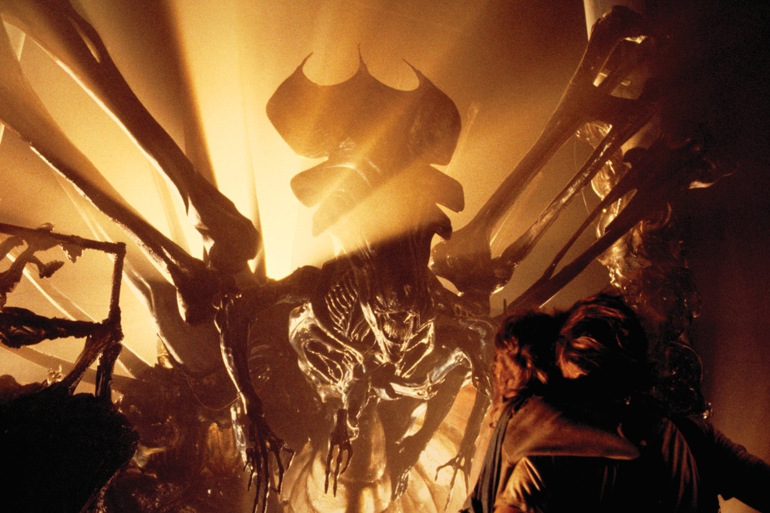 Sigourney Weaver confronts the Alien Queen in Aliens (1986)