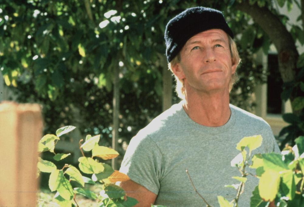 Paul Hogan as ex-con Terry Dean who believes he is an angel in Almost an Angel (1990)