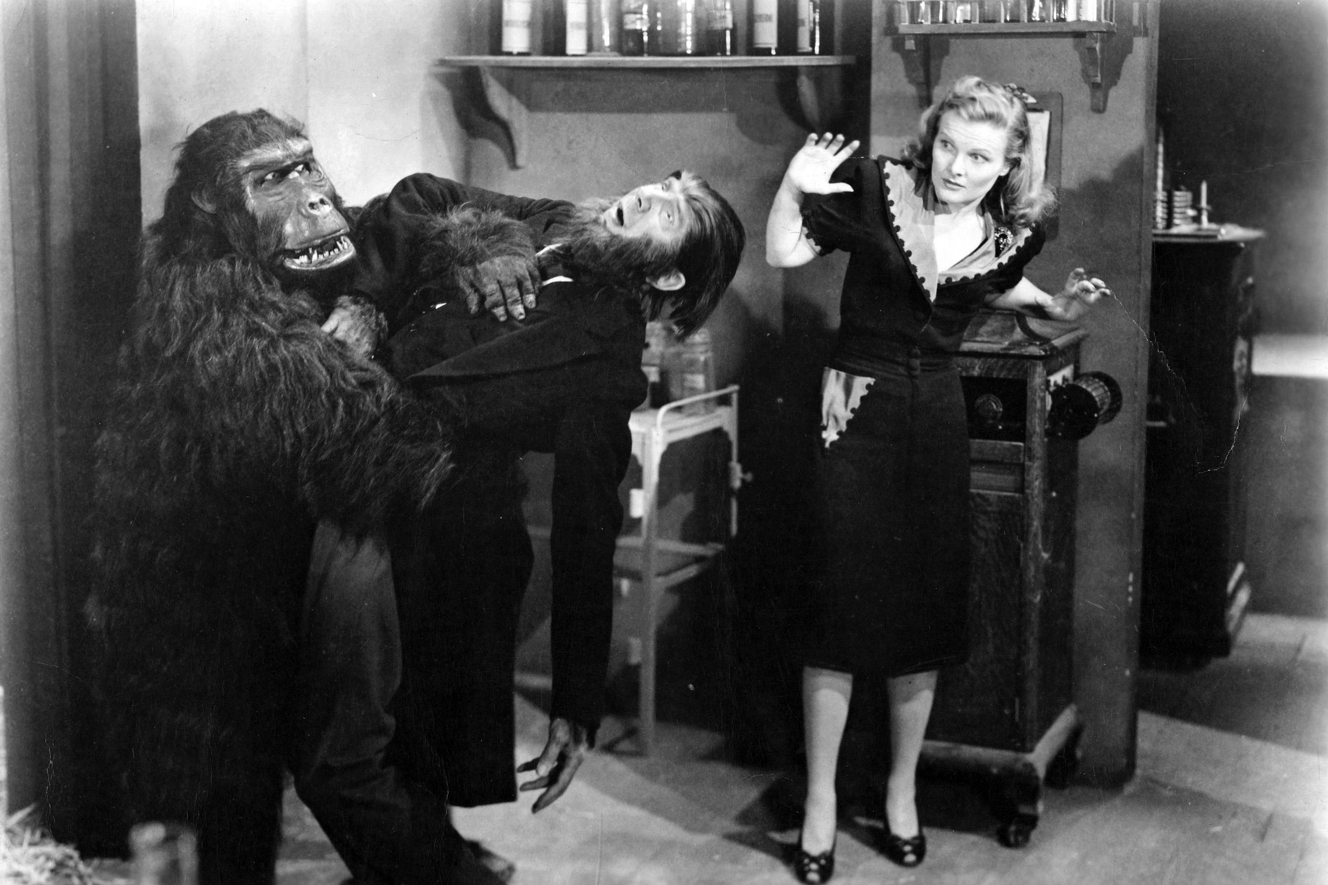 (l to r) The Ape (Emil Van Horn) attacks its master Bela Lugosi as Louise Currie looks on in The Ape Man (1943)