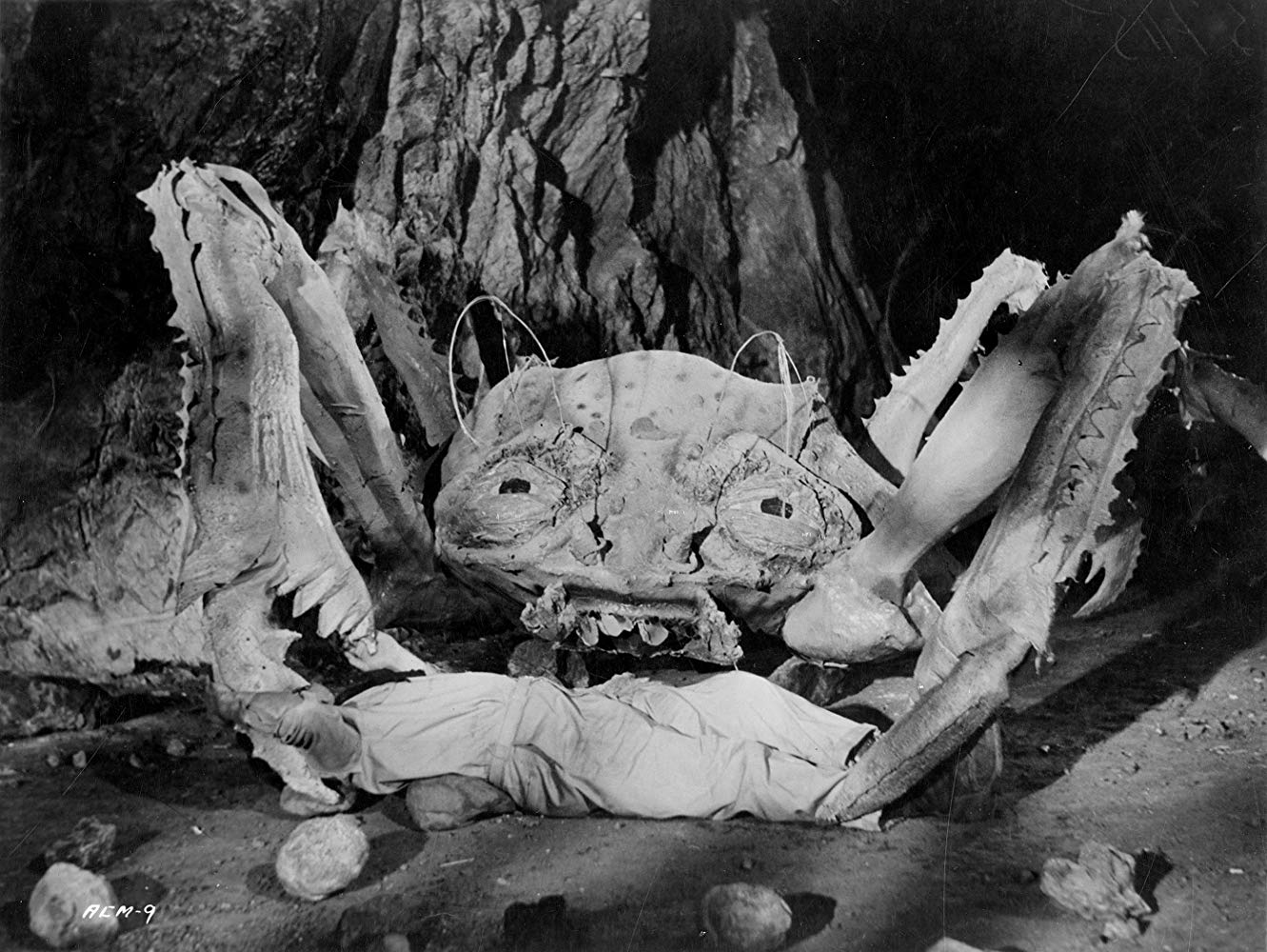 One of the crab monsters from Attack of the Crab Monsters (1957)