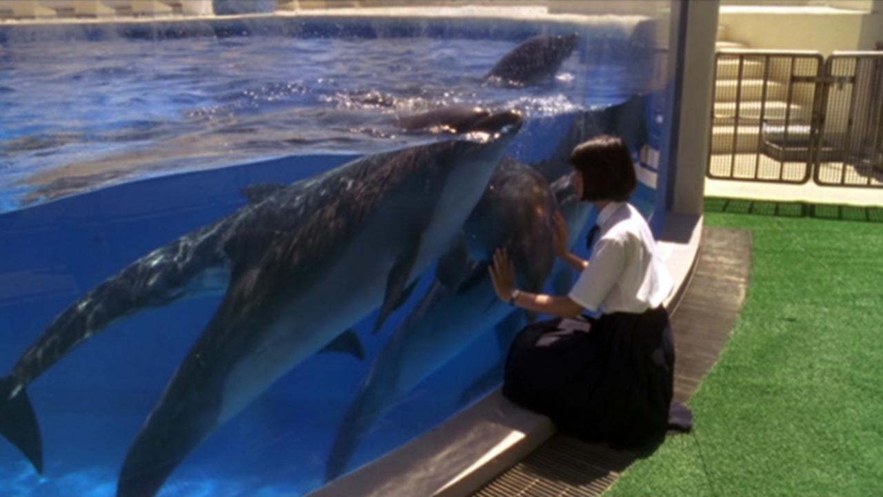 Schoolgirl Komine Rena with the dolphins in August in the Water (1995)