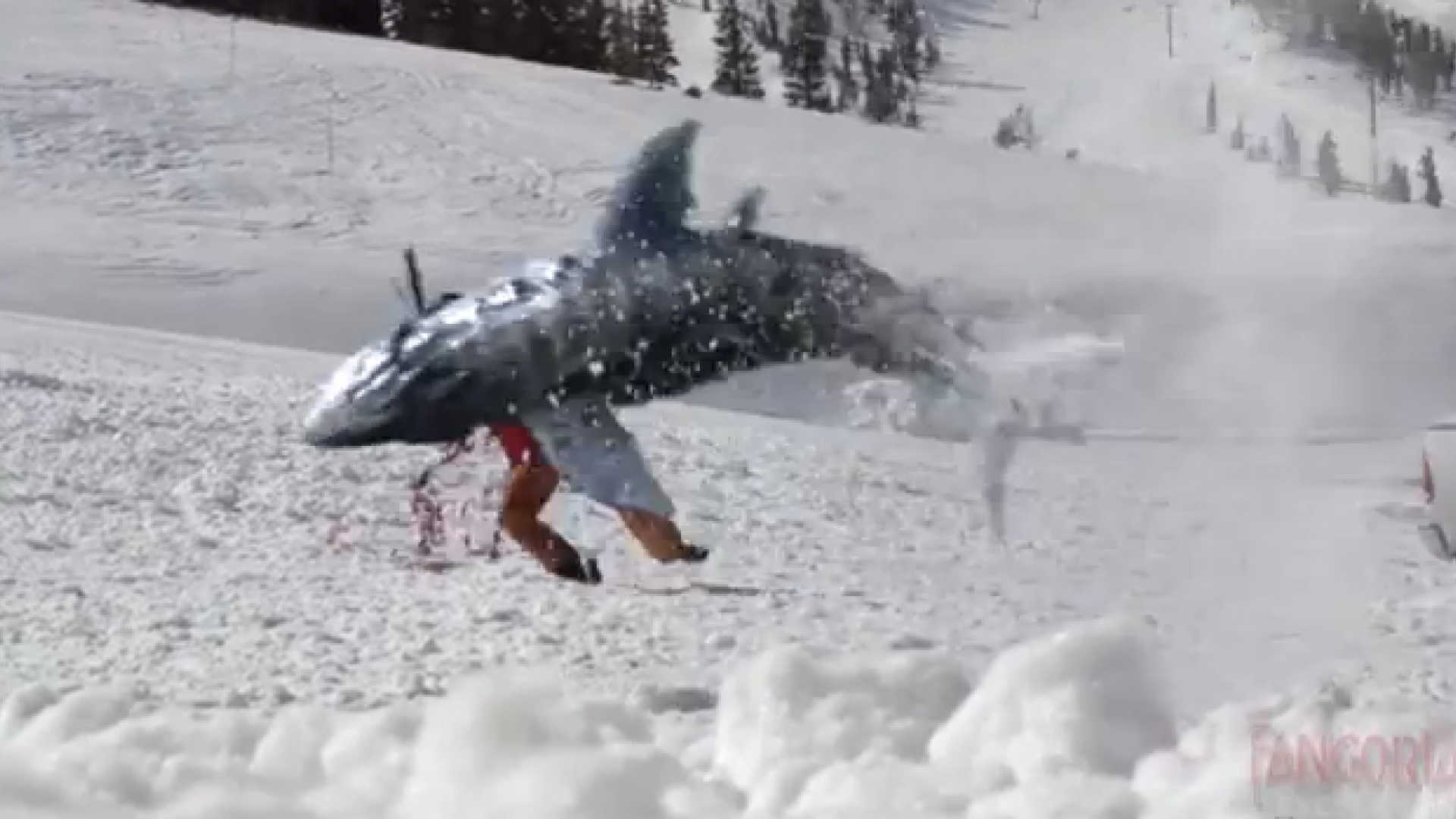 Shark attack scene from Avalanche Sharks (2013)