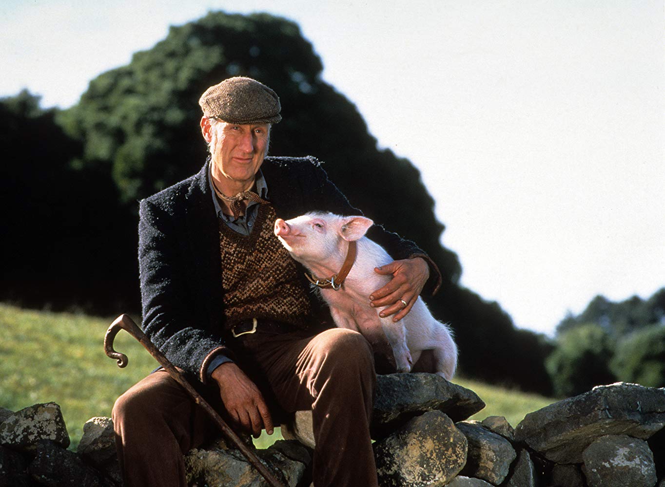 Farmer Hoggett (James Cromwell) and Babe in Babe (1995)