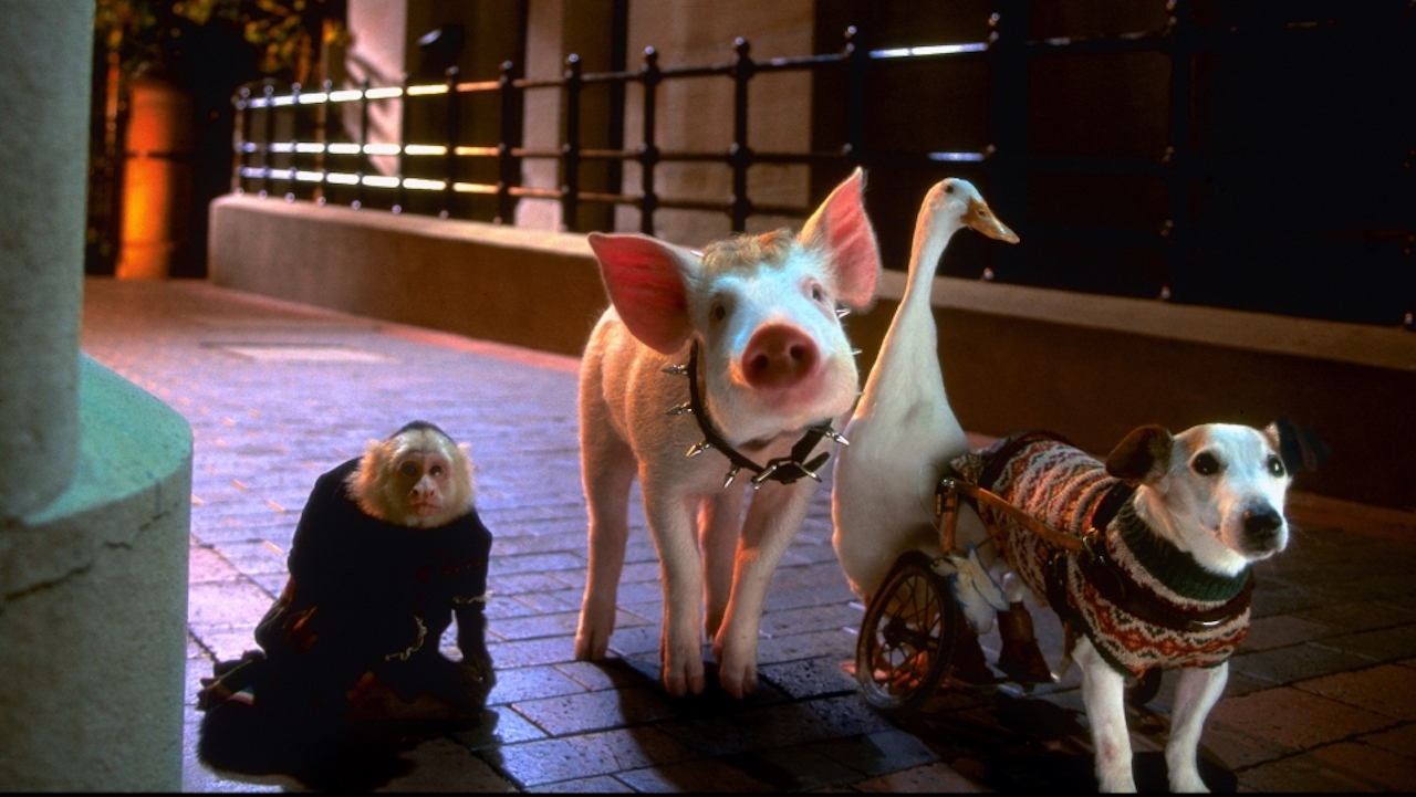 Babe and friends in the city in Babe: Pig in the City (1998)