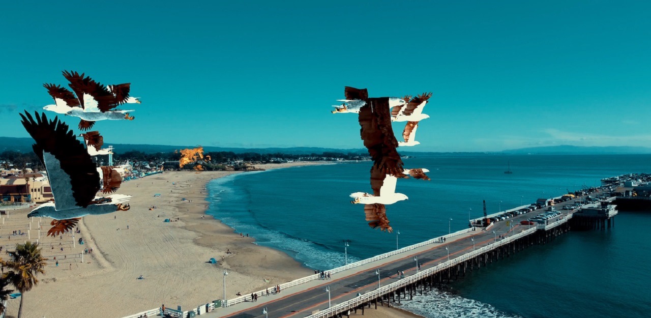 Bird attacks over Santa Cruz in Birdemic 3 - Sea Eagle (2022)