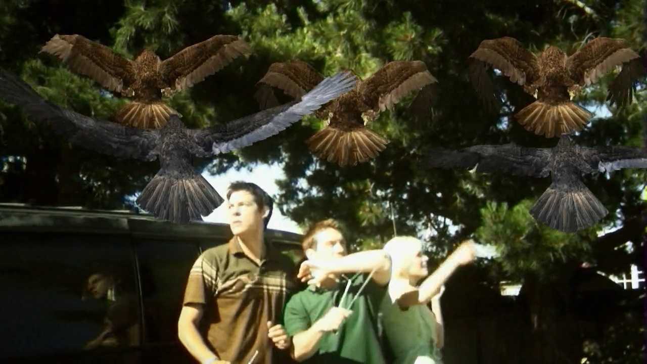 (l to r) Alan Bagh, Adam Sessa and Whitney Moore fight off bird attacks in Birdemic Shock and Terror (2008)