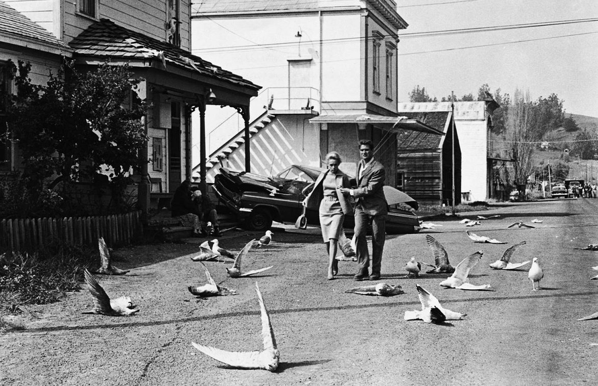 Tippi Hedren and Rod Taylor under attack in The Birds (1963)