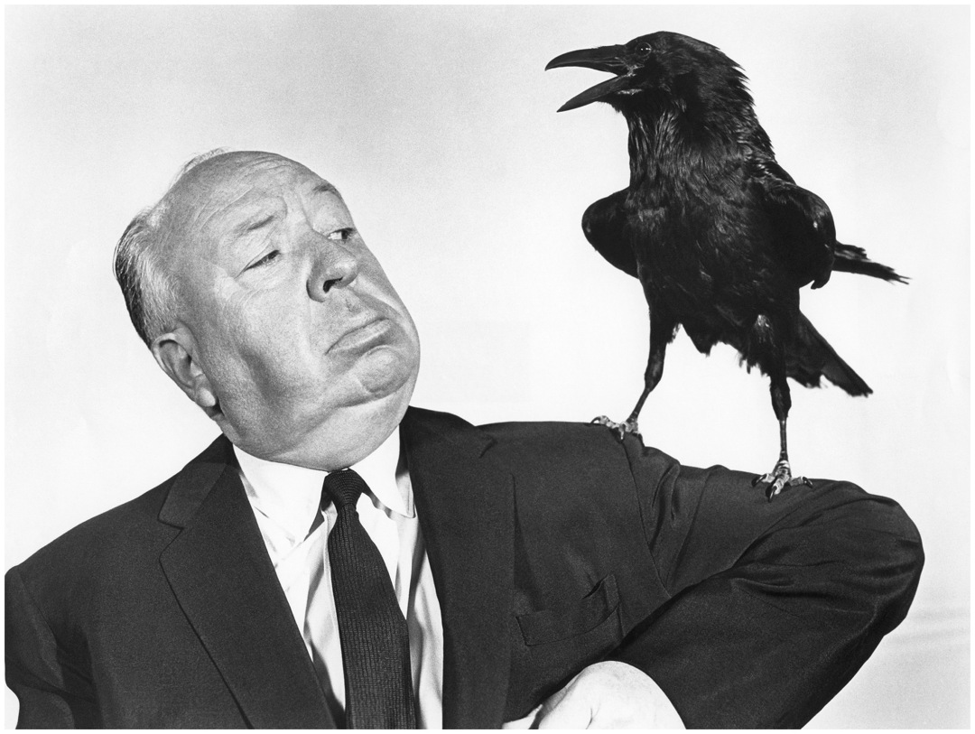 Alfred Hitchcock in The Birds (1963)