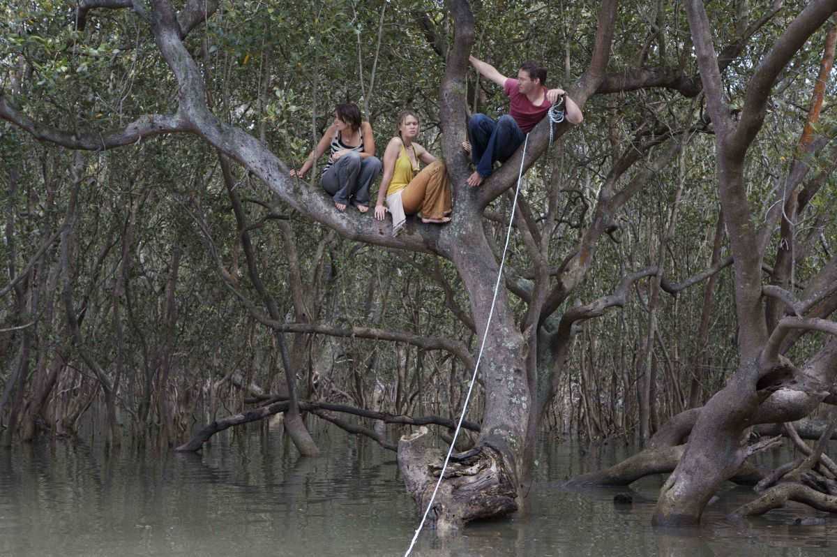 Diana Glenn, Maeve Dermody and Andy Rodoreda trapped in a tree from a lurking crocodile in Black Water (2007)