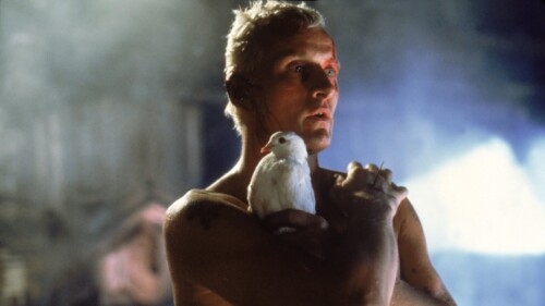 Rutger Hauer as the replicant Roy Batty in Blade Runner (1982)