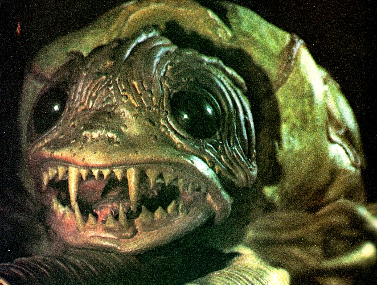 A creature from The Boogens (1981)
