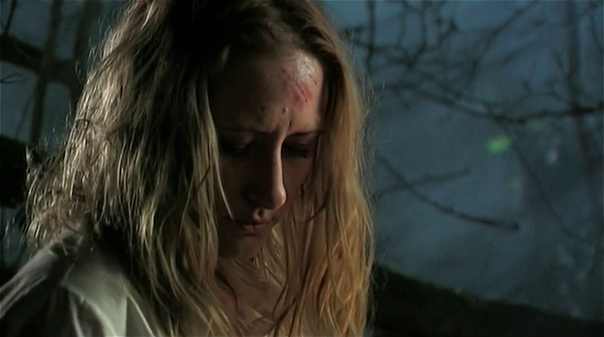 Nadja Brand in Broken (2006)