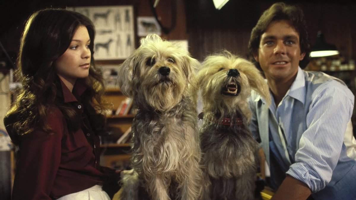 Valerie Bertinelli, inventor Wesley Eure and the robot dog CHOMPS in C.H.O.M.P.S. (1979)