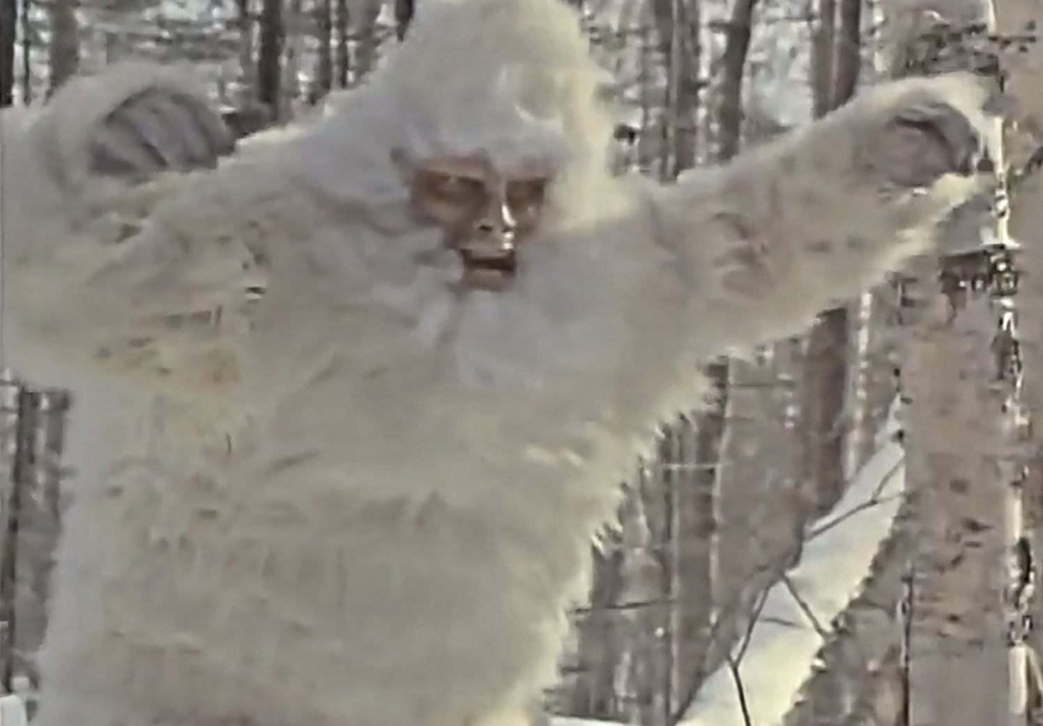 The Bigfoot in The Capture of Bigfoot (1979)