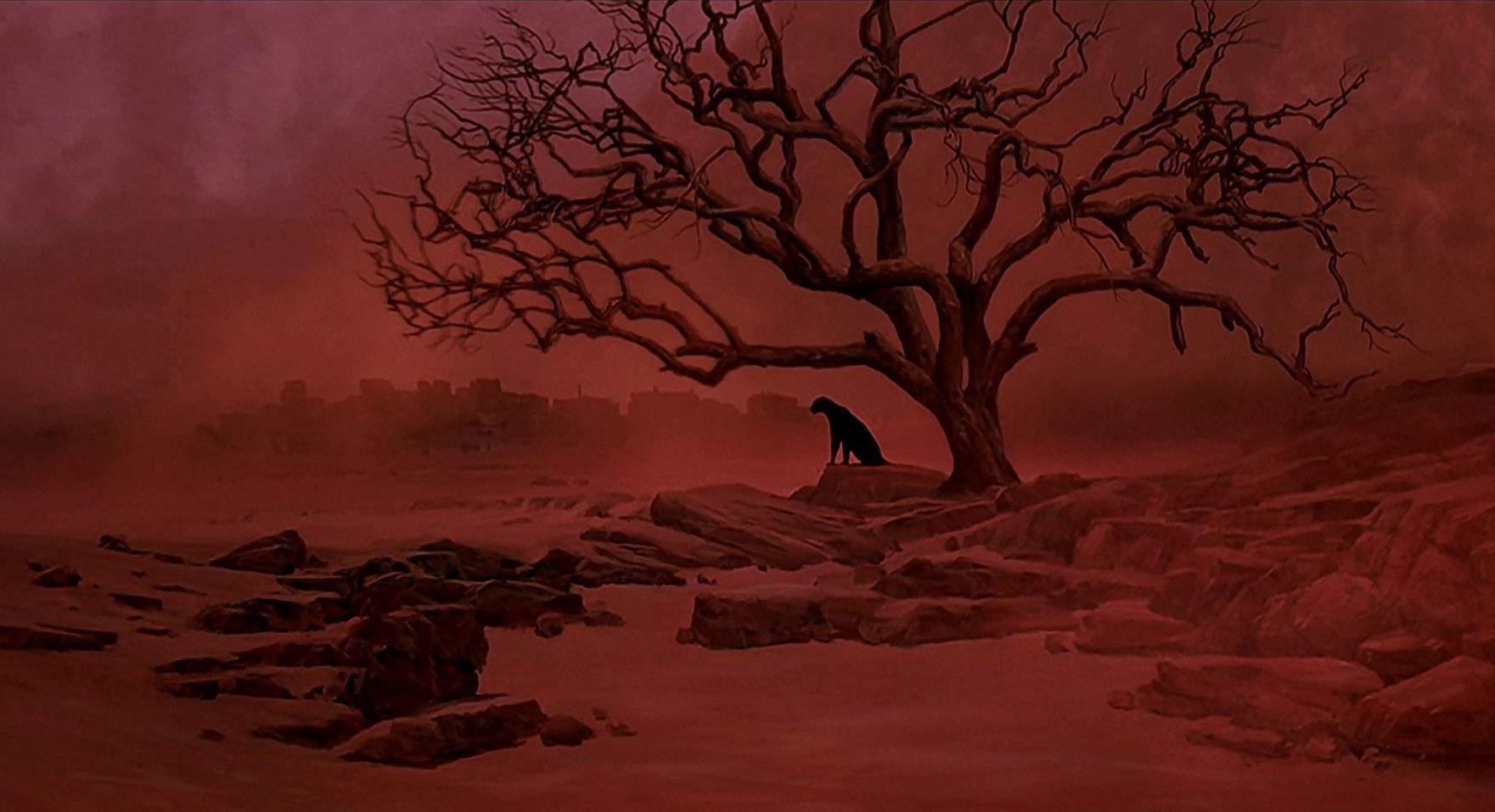 The Leopard Tree Dream sequence - a film of smoulderingly beautiful sensuality - Cat People (1982)