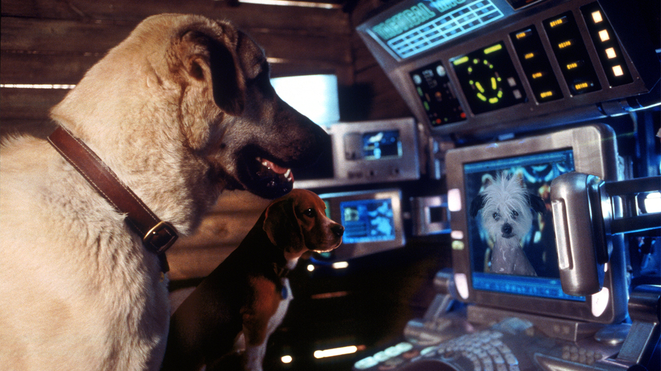Canine spy antics in Cats & Dogs (2001)