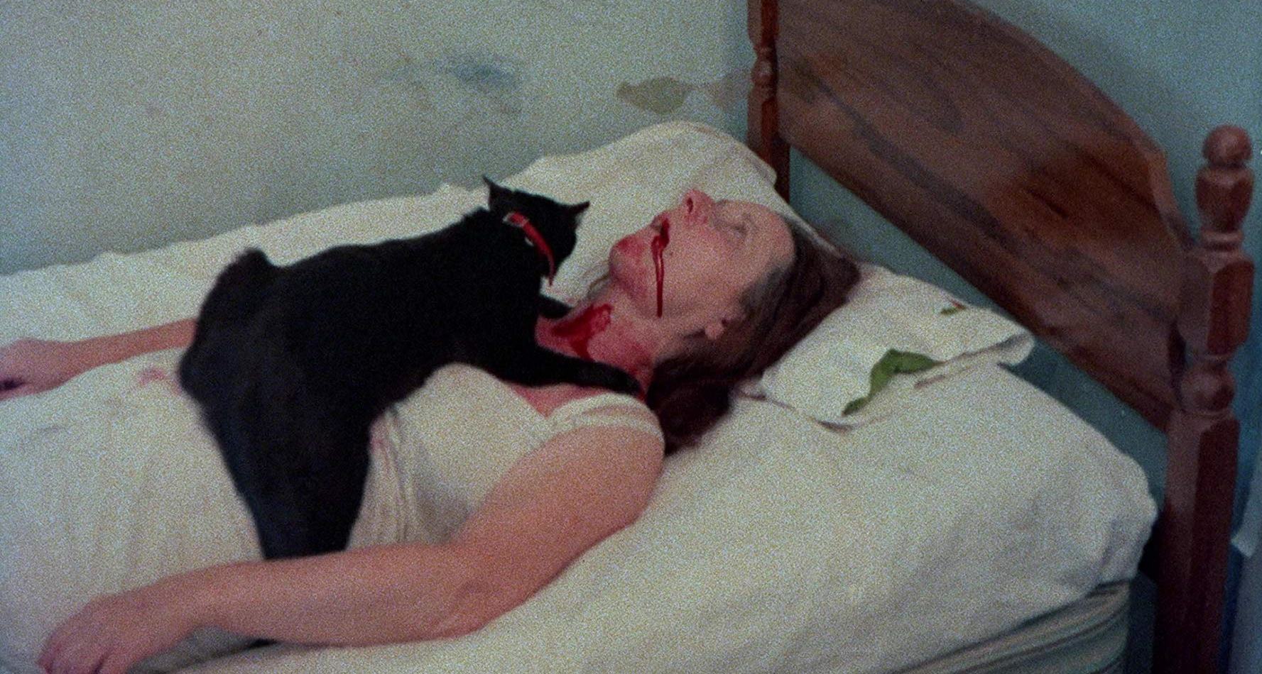 Cats feast on human flesh in The Corpse Grinders (1971)