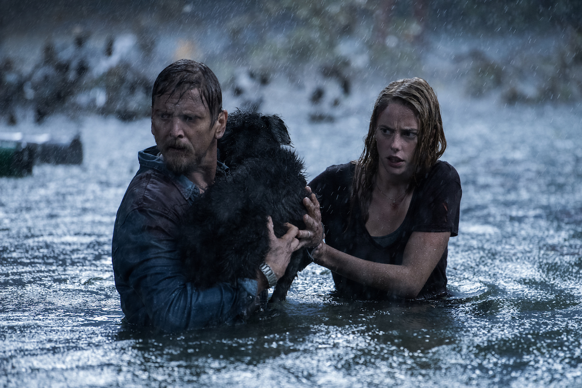 Kaya Scodelario and father Barry Pepper try to make it to safety in Crawl (2019)