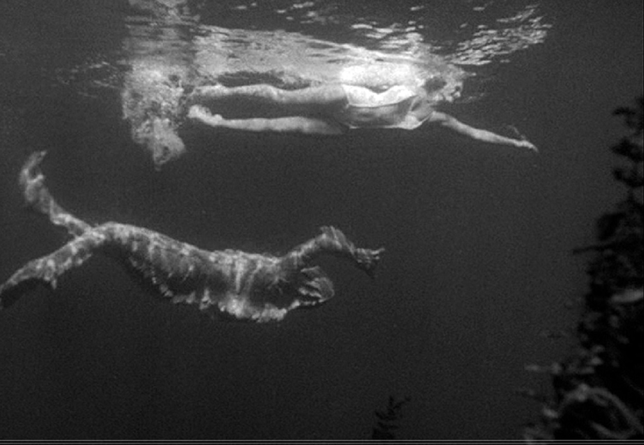 The classic scene where the Gill Man (Rico Browning) follows from underwater as Julia Adams swims above in The Creature from the Black Lagoon (1954)