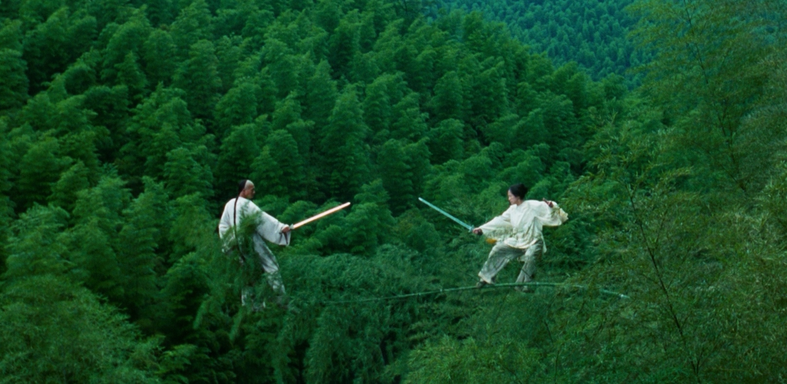 Chow Yun Fat and Zhang Ziyi dueling in the tree tops in Crouching Tiger, Hidden Dragon (2000)