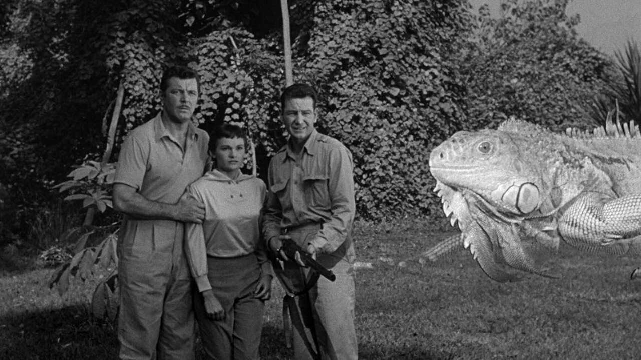 James Craig, Gloria Talbott and Tom Drake encounter an optically enlarged lizard in The Cyclops (1957)The Cyclops (1957)