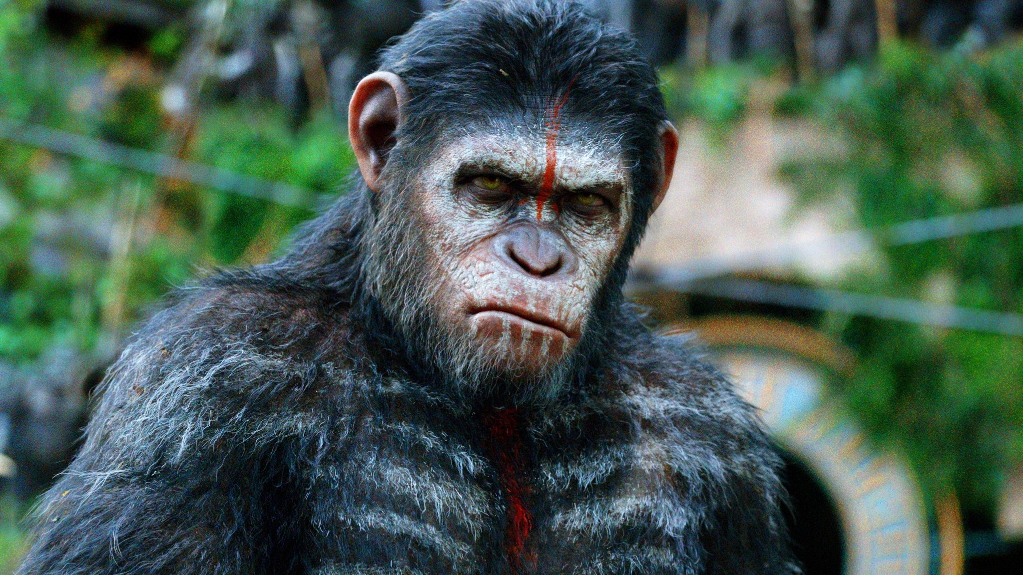 Andy Serkis as Caesar in Dawn of the Planet of the Apes (2014)