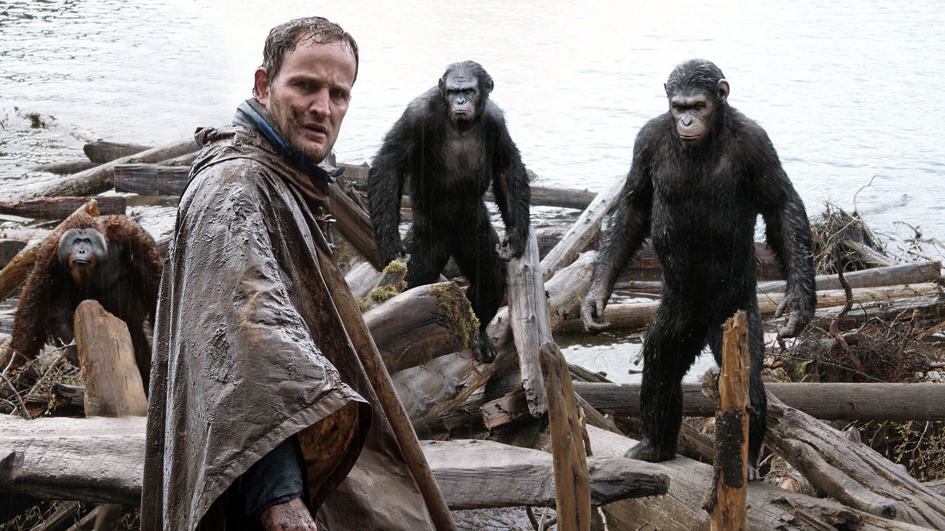 The human Malcolm (Jason Clarke) tries to negotiate with the apes Maurice (Karin Konoval), Koba (Toby Kebbell) and Caesar (Andy Serkis) in Dawn of the Planet of the Apes (2014)