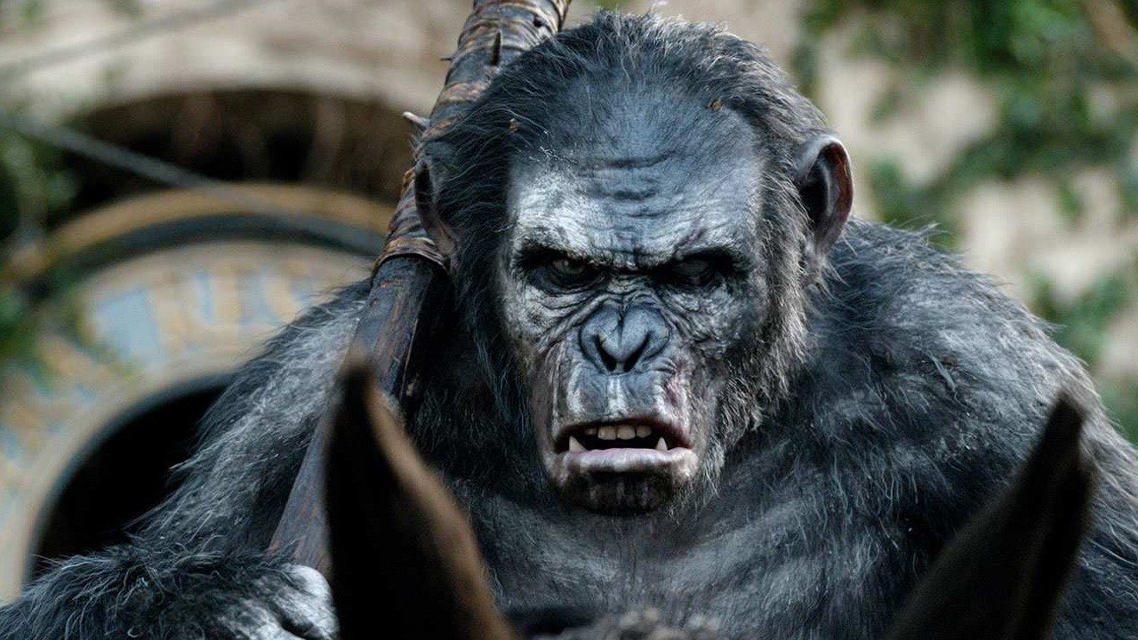 Toby Kebbell as Koba in Dawn of the Planet of the Apes (2014)