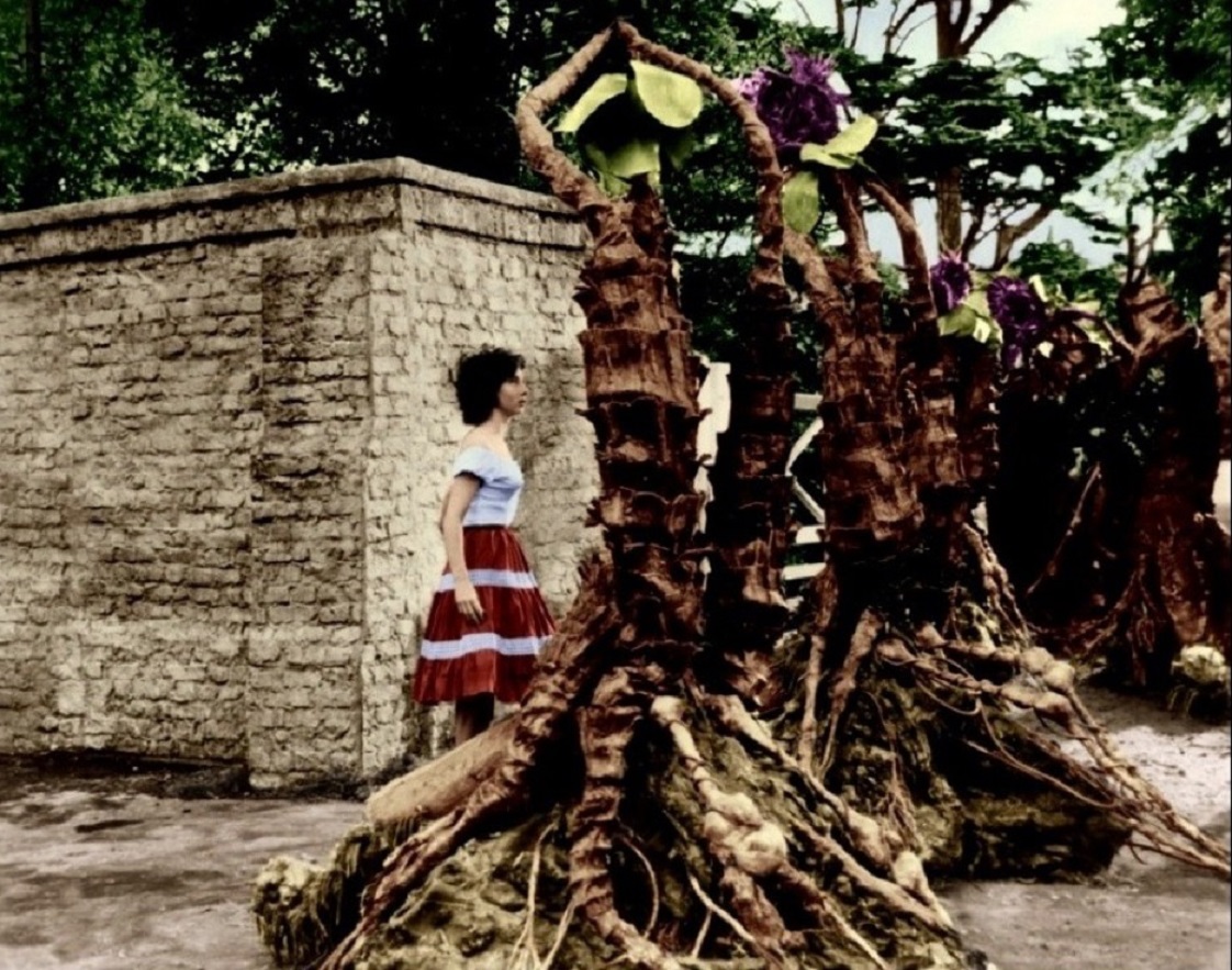 Blind Carole Ann Ford surrounded by triffids in The Day of the Triffids (1962)