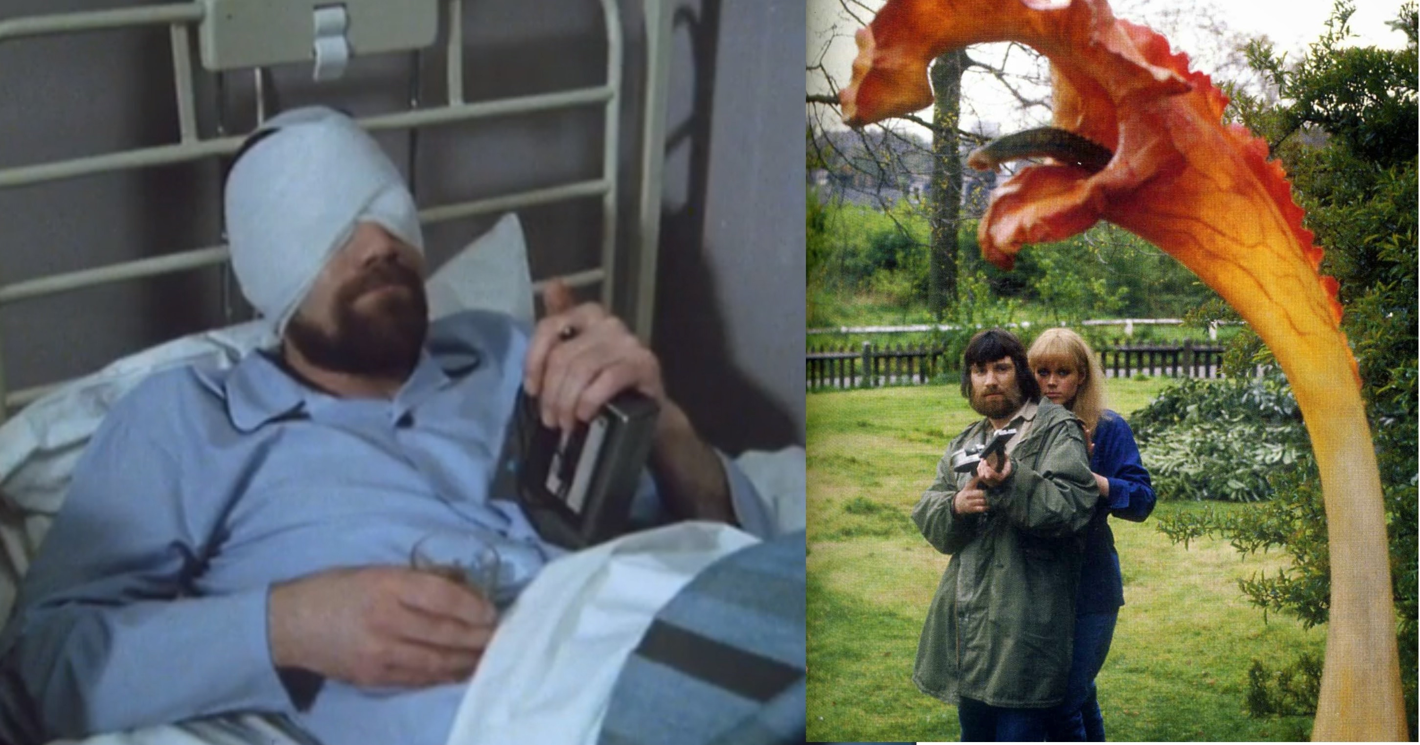 in Day of the Triffids (1981)
