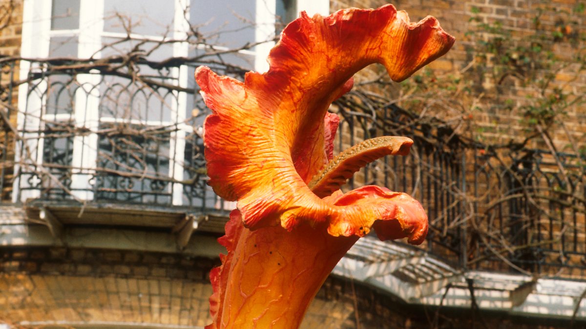 A triffid from Day of the Triffids (1981)