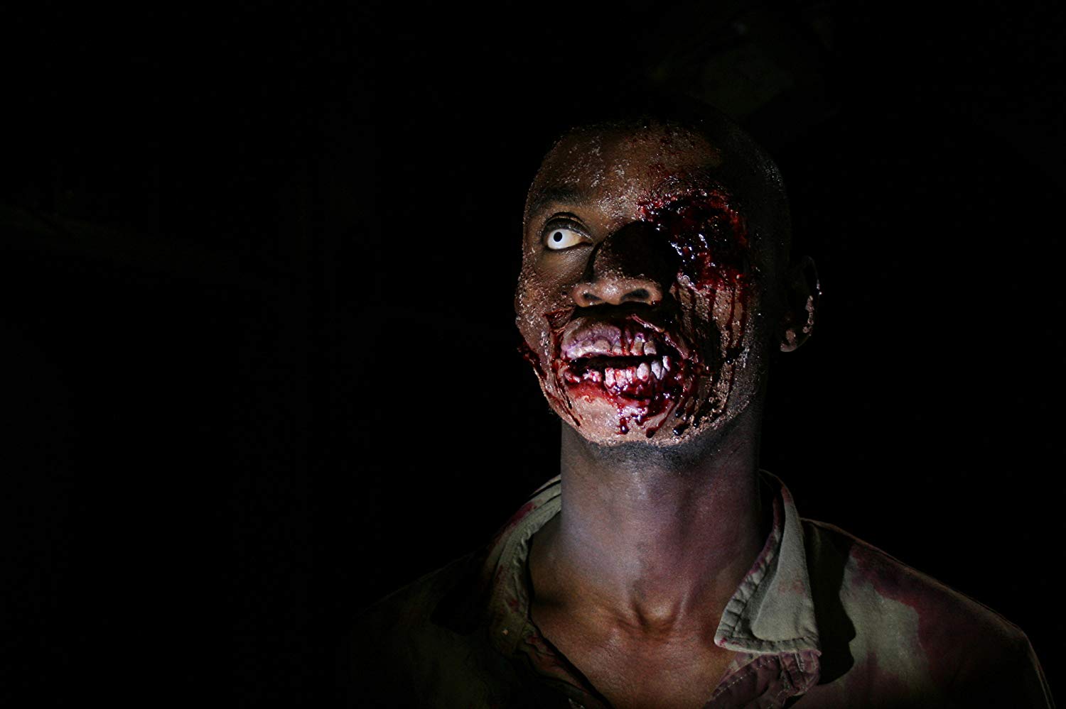Zombies overrun Africa in The Dead (2010)