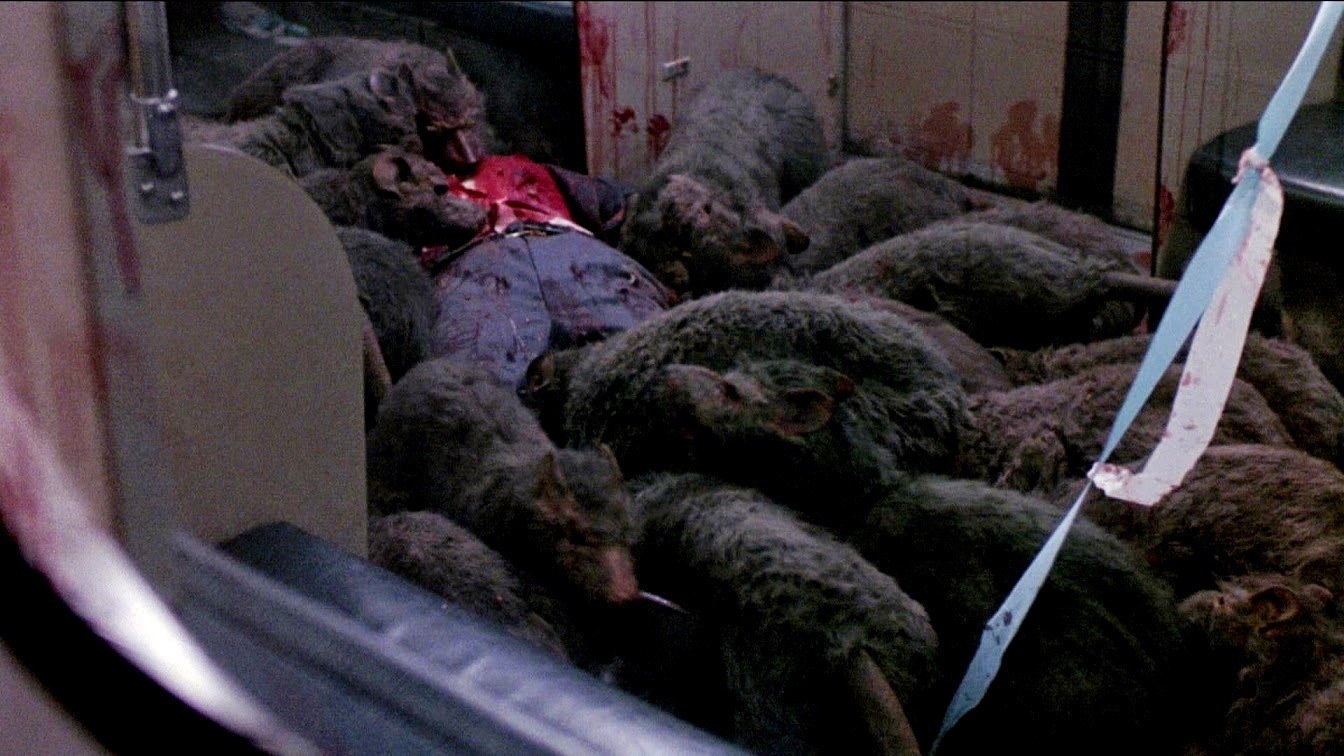 The killer rats (played by dachshunds) in Deadly Eyes (1982)