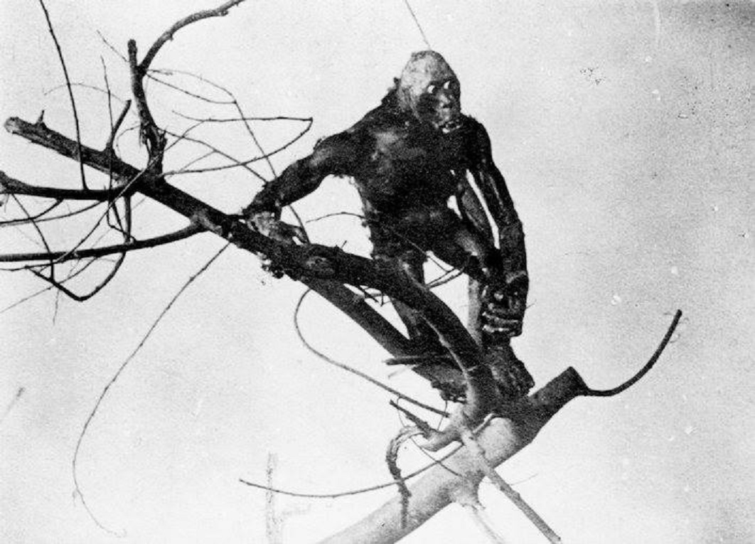 The Missing Link in The Dinosaur and the Missing Link: A Prehistoric Tragedy (1915)