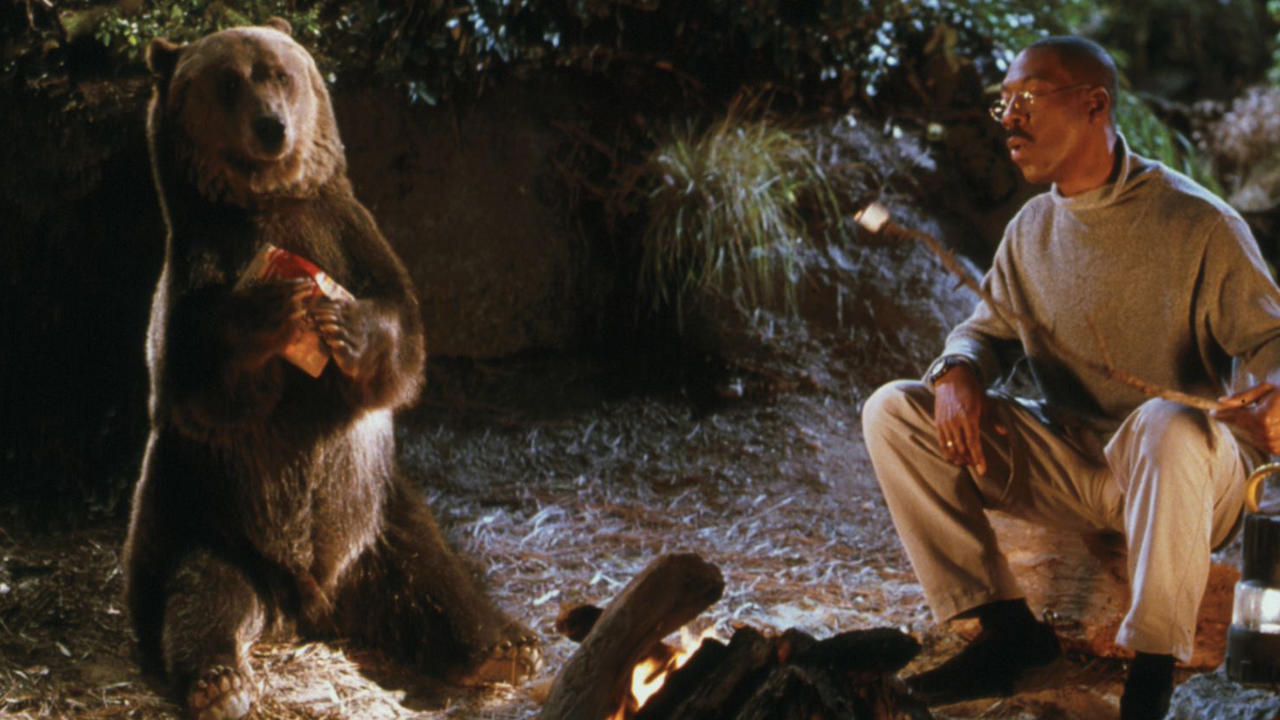 Dr Dolittle (Eddie Murphy) tries to introduce the circus bear Archie to the wild in Dr. Dolittle 2 (2001)