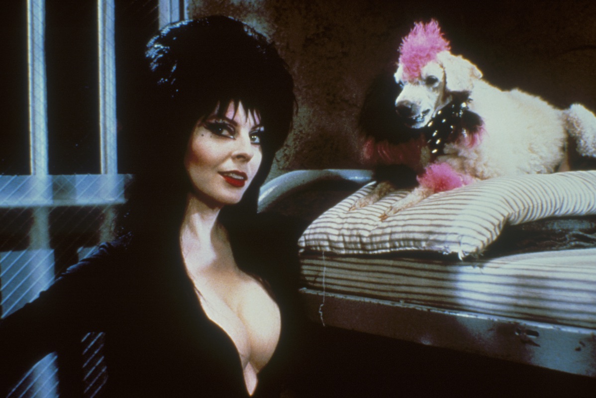 E;vira (Cassandra Peterson) and her poodle Algonquin in Elvira, Mistress of the Dark (1988)