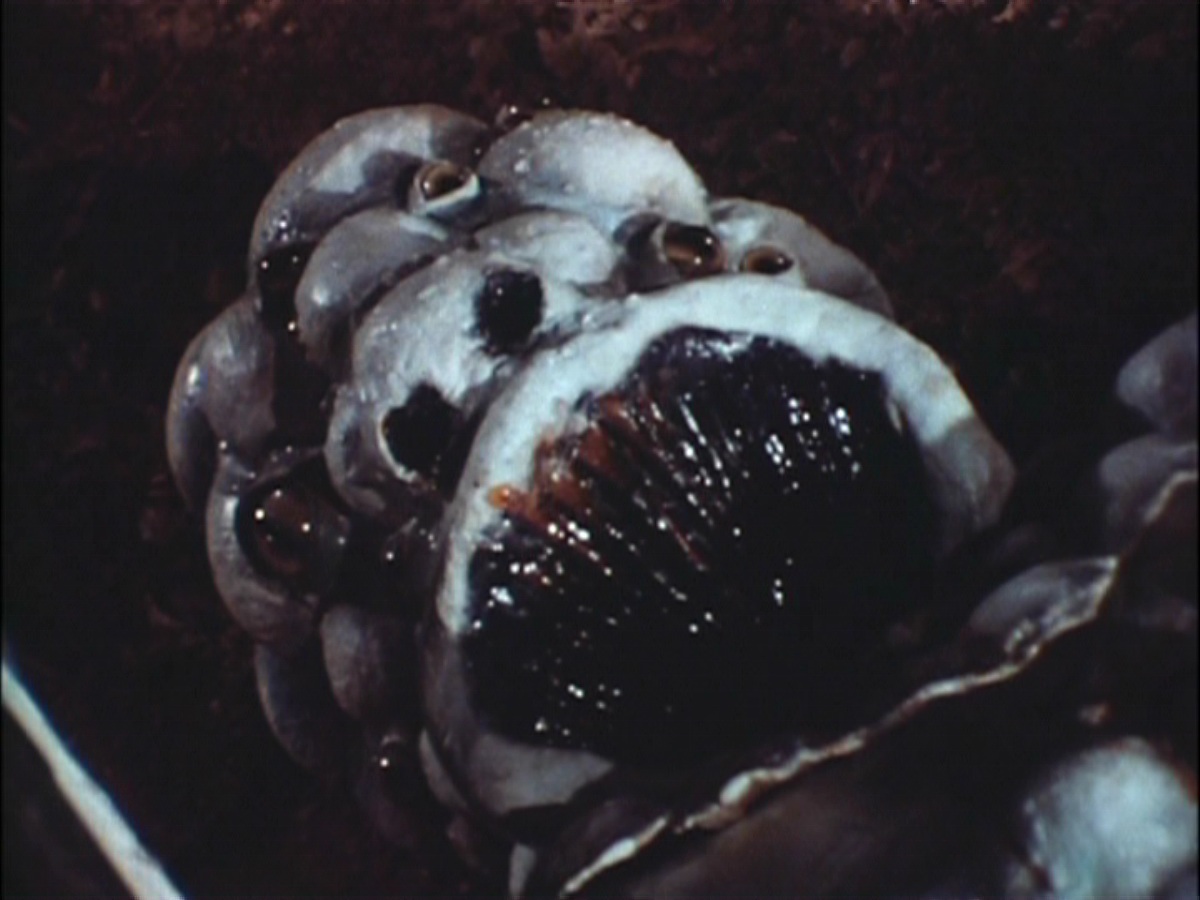 An alien in The Eye Creatures (1965)