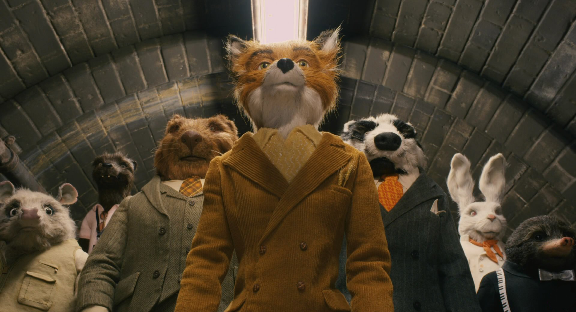 Animals off on a caper in Fantastic Mr Fox (2009)