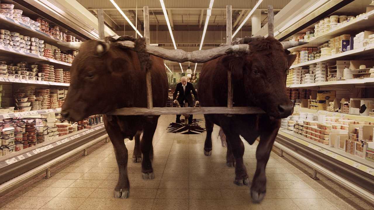 The old man plowing a supermarket with two harnessed bulls in Field of Dogs (2014)