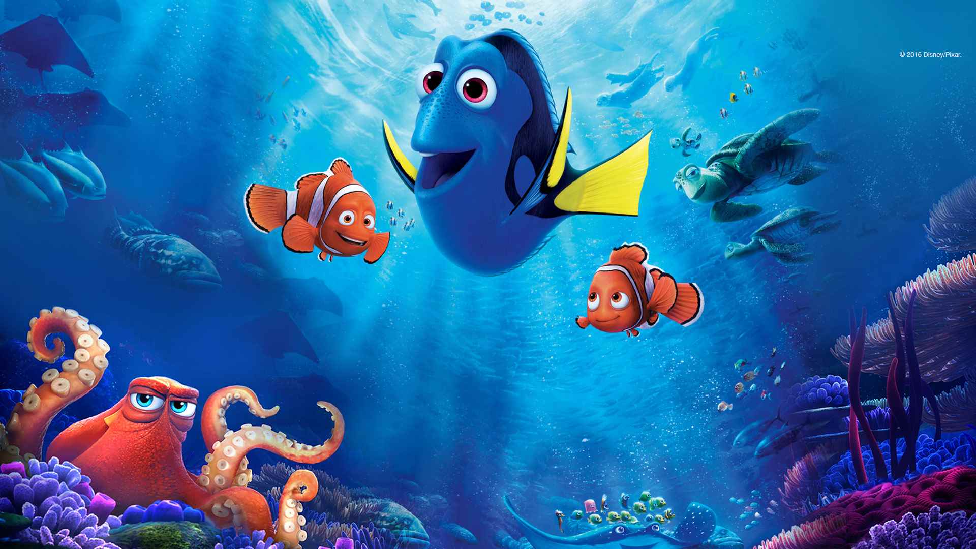 Marlin, Dory and Nemo set out on a quest in Finding Dory (2016)