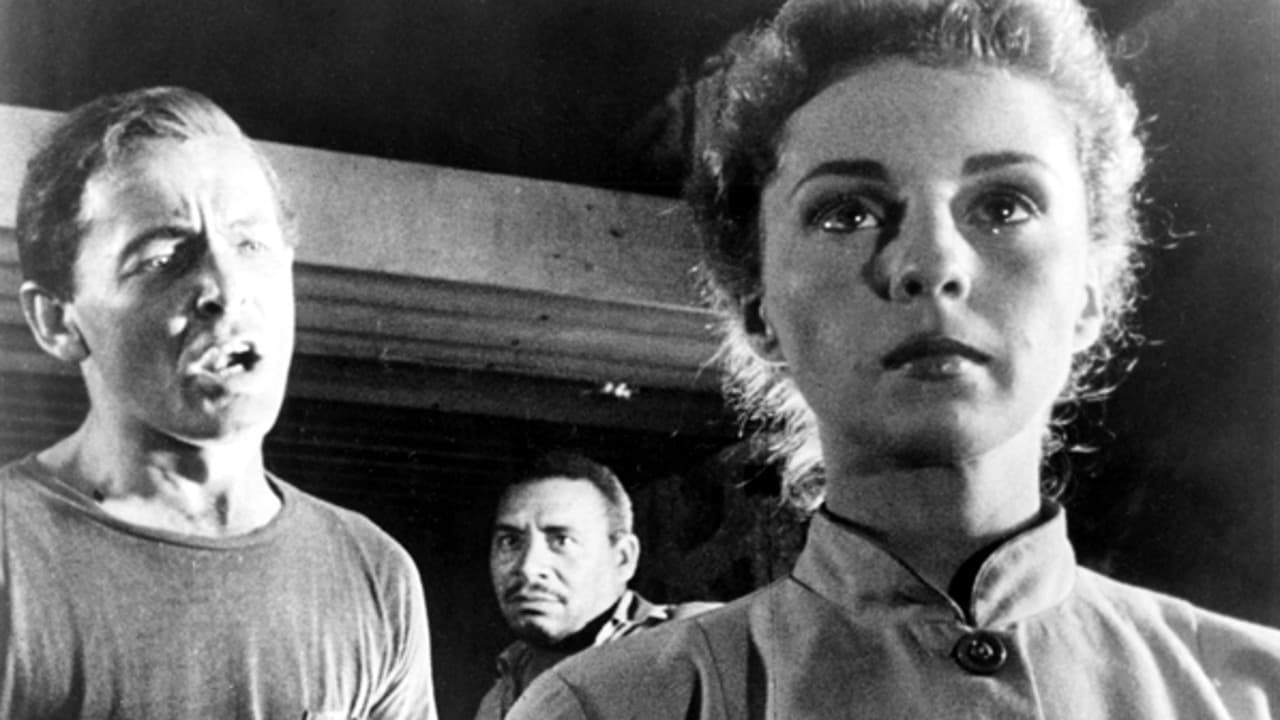 Survivors of the nuclear holocaust - (l to r) James Anderson, Charles Lampkin and Susan Douglas in Five (1951)