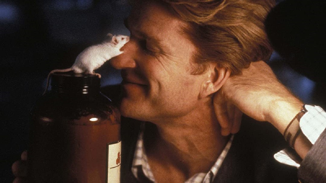 Matthew Modine as Charlie Gordon in Flowers for Algernon (2000)