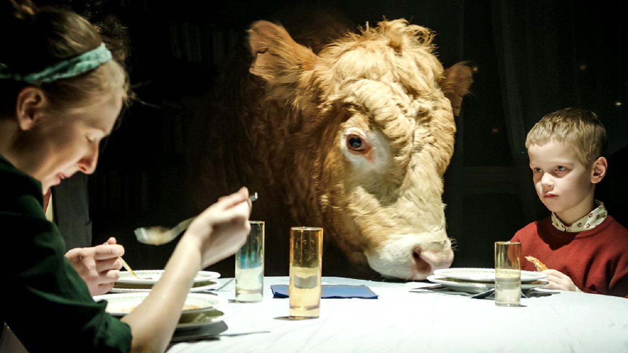 A bull comes to dinner with Janos Varadi in Freefall (2014)
