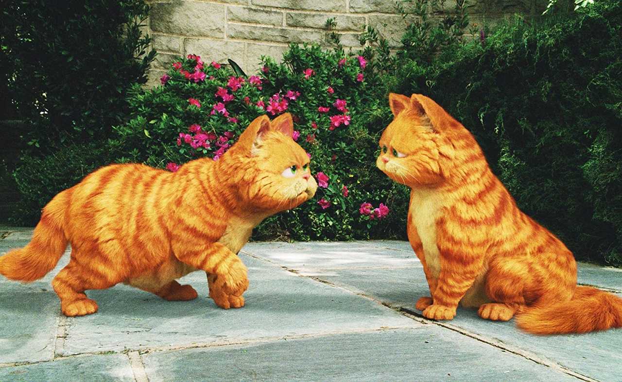Garfield (voiced by Bill Murray) and his double Prince (voiced by Tim Curry) in Garfield: A Tale of Two Kitties (2006)