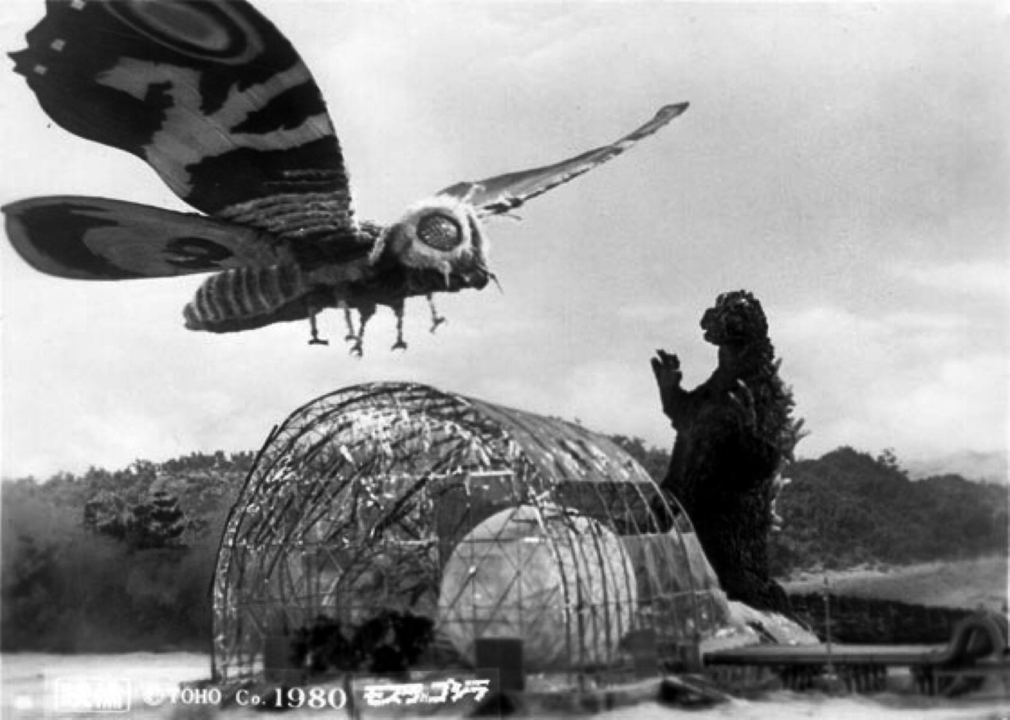 Mothra and Godzilla battle before the egg incubator in Godzilla vs the Thing (1964)